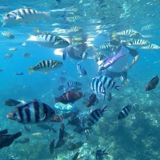 Candidasa: Best of Snorkeling, Blue Lagoon, and Tanjung Jepun - Frequently Asked Questions