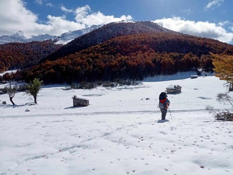 Cangas De Onís: Route in Vegabaño Forest With Lunch in a Mountain Refuge. - Experiencing the Mountain Refuge