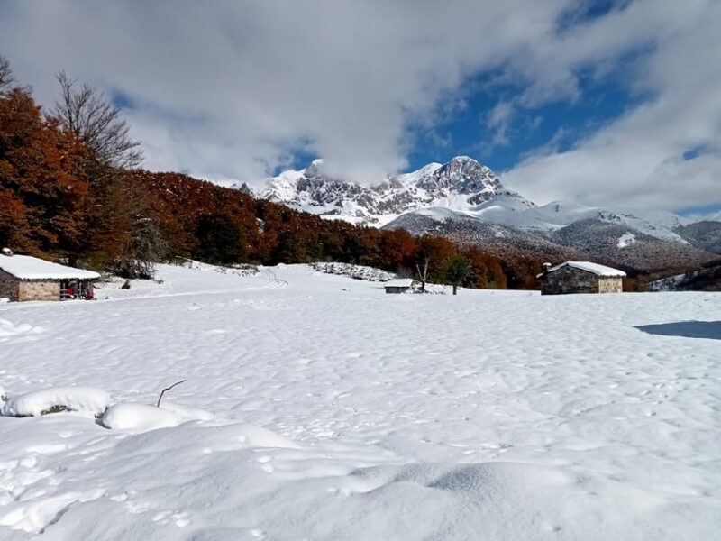 Cangas De Onís: Route in Vegabaño Forest With Lunch in a Mountain Refuge. - Frequently Asked Questions
