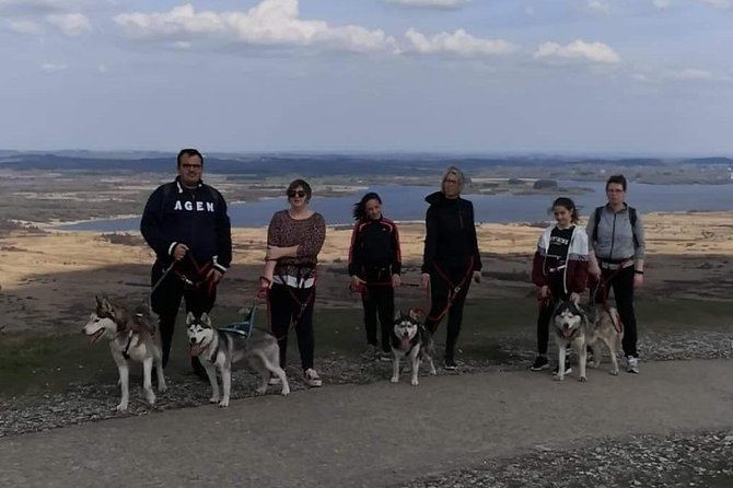 Cani Rando, Fun and Original Hiking, Pulled by Huskies - Huskies, Your Canine Hiking Companions