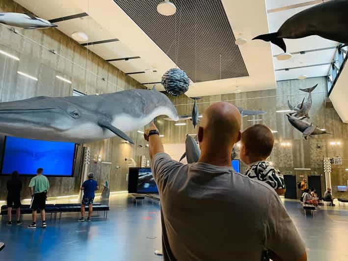 Caniçal : Madeira Whale Museum Entry ticket - What to Expect at Madeira Whale Museum