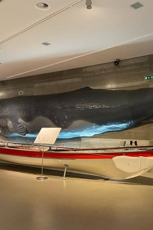 Caniçal : Madeira Whale Museum Entry ticket - Who Is This Experience Best For?