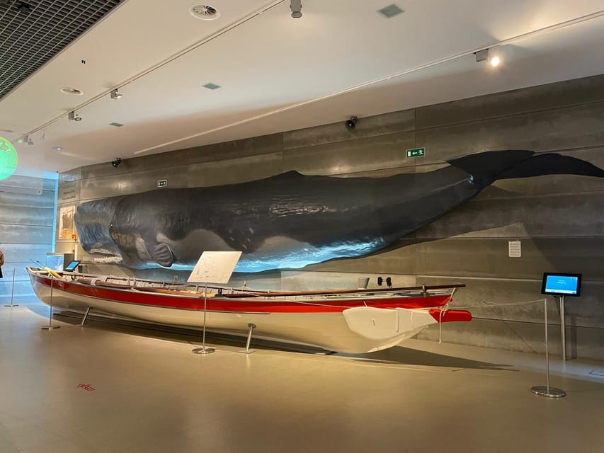 Caniçal : Madeira Whale Museum Entry ticket - FAQ