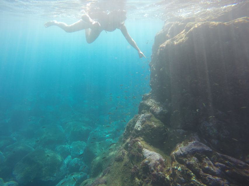 Caniço: Garajau Nature Reserve Guided Snorkeling Tour - Pricing and Duration