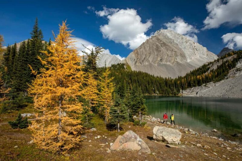 Canmore: 3 Hour Local Explorer Tour and Hike with a Guide - Key Points