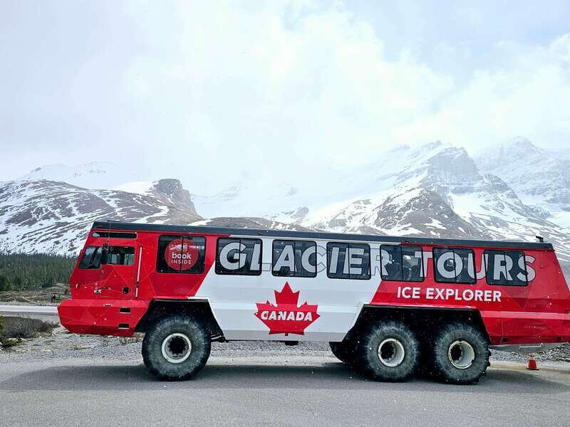 Canmore/Banff: Columbia Icefield, Skywalk, Peyto Day Tour - An Authentic, In-Depth Look at the Tour