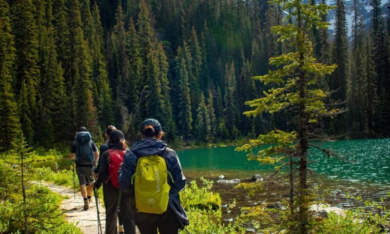 Canmore/Banff: Premium hiking tours in Banff region - Key Points