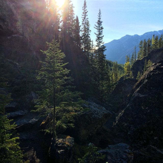 Canmore: Canyons and Cave Paintings Hiking Tour - Exploring Canmores Natural Wonders