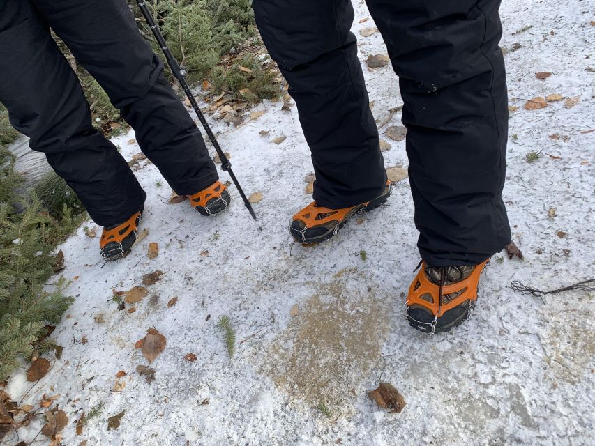 Canmore: Canyons and Cave Paintings Hiking Tour - Frequently Asked Questions