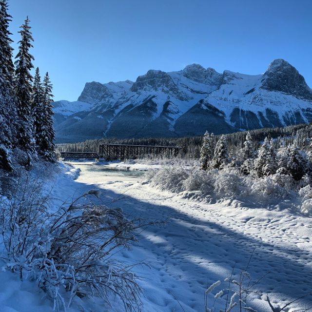 Canmore: Cowboys and Coal Miners - 1.5hr History Tour - Exploring Local Trails