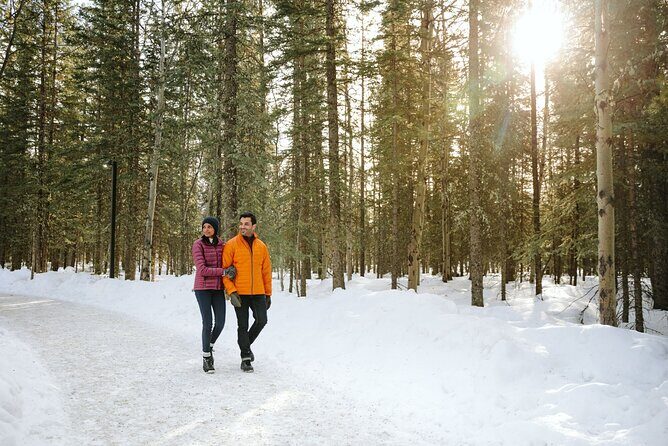 Canmore Explore Winter Wildlife Tracks 2hr Nature Walk - An In-Depth Look at the Tour