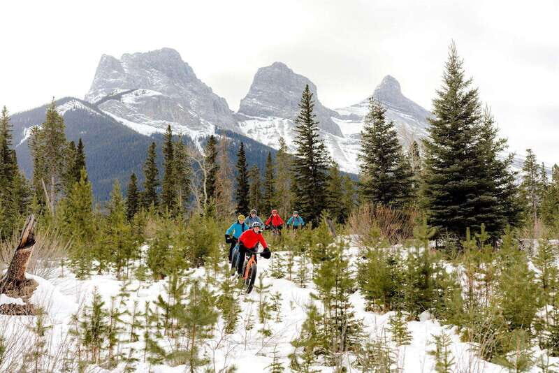 Canmore: Explore Winter Wildlife Tracks - 2hr Nature Walk - Key Points
