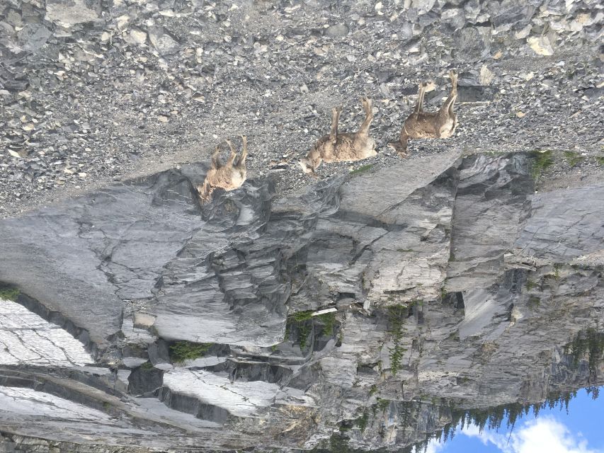 Canmore: Ha Ling Peak & Summit - Gear and Inclusions