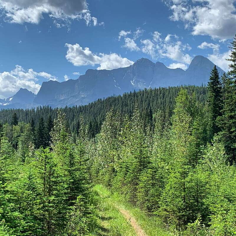 Canmore: LOST TOWNS and Untold Stories - Hiking Tour 3hrs - What to Expect from the Canmore Lost Towns Tour