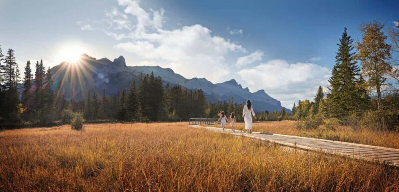 Canmore: Medicinal and Edible Plants, 2-hour Nature Walk - FAQ