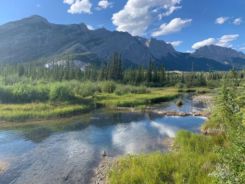 Canmore: NEW - Famous Mountains / Photo Safari Drive - 4hrs - Activities