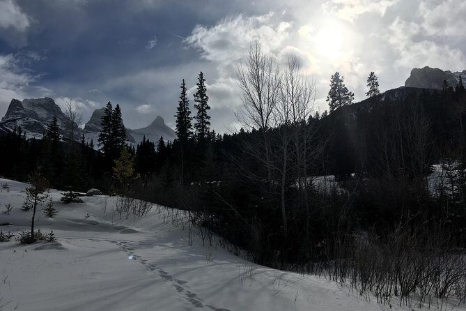 Canmore: Stargazing and Nature by Nightfall Walking Tour - 2hr - Final Thoughts