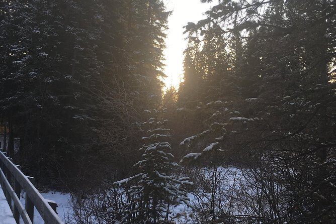 Canmore: Stargazing and Nature by Nightfall Walking Tour - 2hr - FAQ