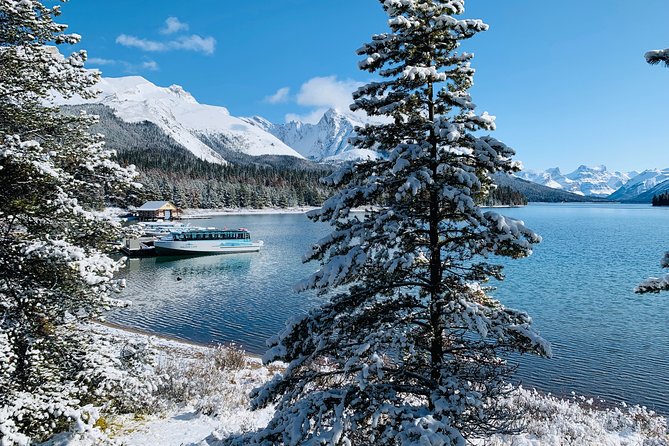 Canmore to Calgary Private Shuttle - Accessibility and Participation