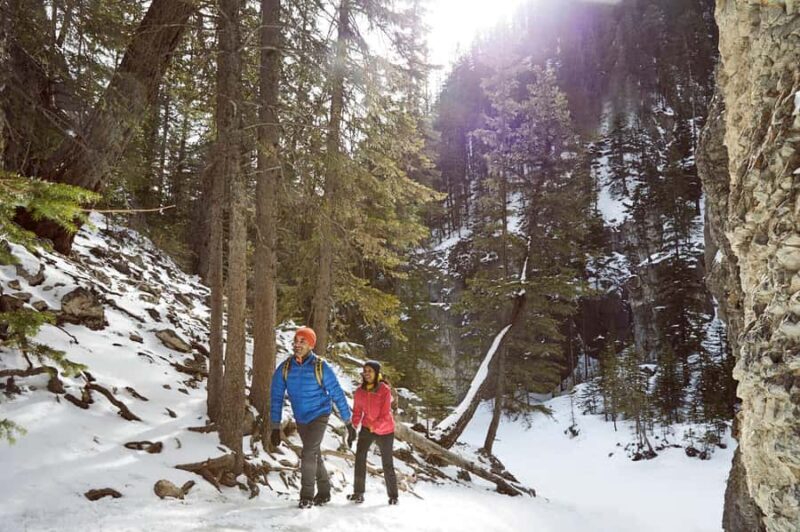 Canmore: Winter Fun! Canyon Ice Adventure - 2.5hrs - The Sum Up