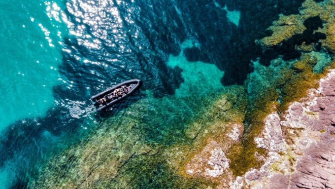 Cannes: Scenic Coves RIB Boat Tour - What to Expect on the Tour