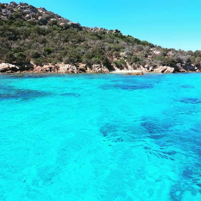 Cannigione: boat tour Maddalena Archipelago with lunch - Final Thoughts: Who Should Consider This Experience