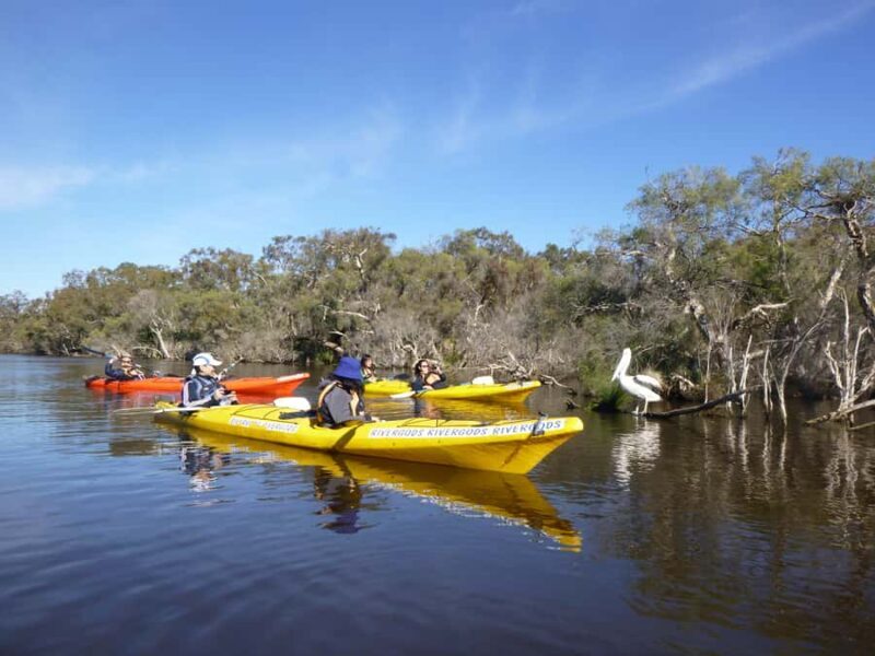 Canning River Half-Day Kayak Wildlife Tour - An Introduction to the Canning River Kayak Tour