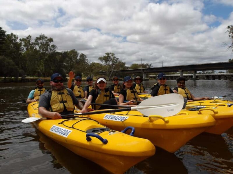 Canning River Half-Day Kayak Wildlife Tour - Why This Tour Works So Well