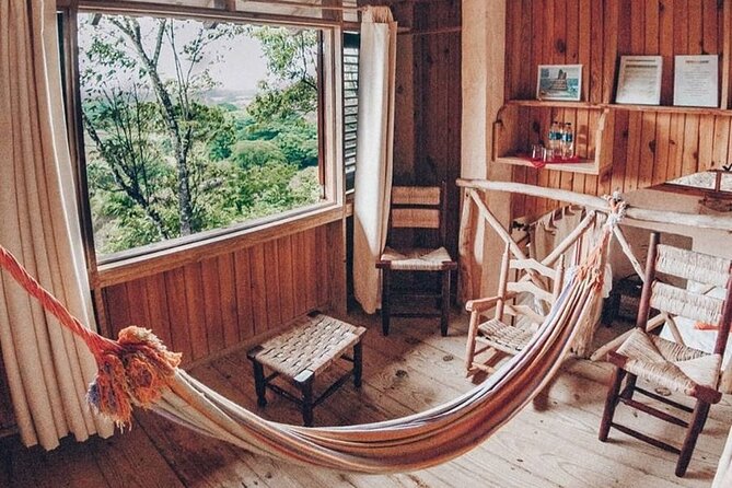 Cano Hondo Rooms + Kayaking + Hiking + Natural Waterfall Swimming Pools - Kayaking Through the Mangrove Swamp