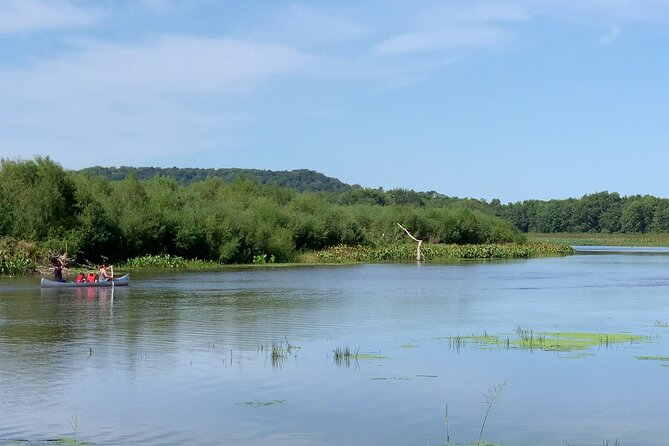 Canoe/Kayak Day Tour of Mississippi Wildlife & Fish Refuge - Equipment Provided
