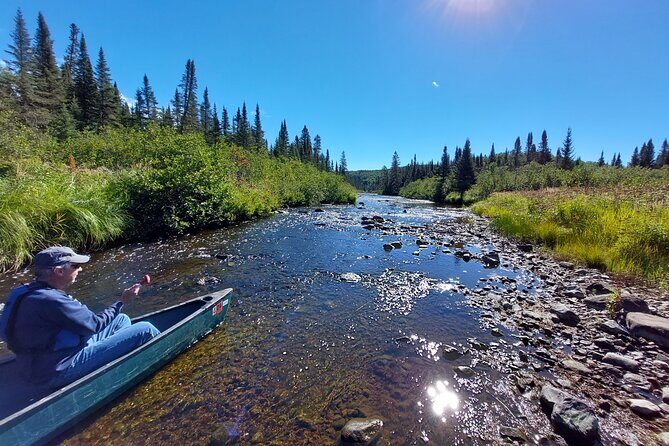Canoe National Forest Lakes (Lutsen/Grand Marais) - Exploring the Experience: What You Can Expect