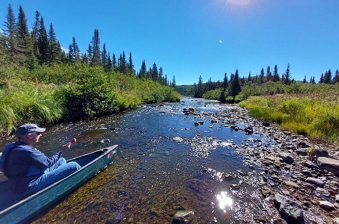 Canoe National Forest Lakes (Lutsen/Grand Marais) - Authentic Experiences and Past Travelers’ Impressions