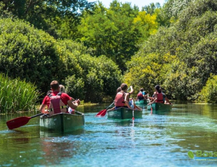 Canoe Ride on Piediluco Lake With Lunch - Discover Piedilucos Stunning Landscapes