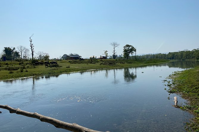 Canoeing and Nature Walk in Chitwan National Park - Tips for a Successful Trip