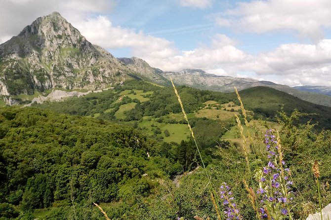 Canoeing, Cave & Collados Del Ason Review - Since You Asked