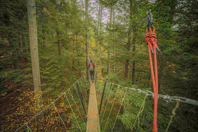 Canopy Tour at Haliburton Forest - Final Thoughts