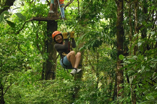 Canopy Tour in the Fabulous Hanging Bridges From San José - Spotting Wildlife Along the Way