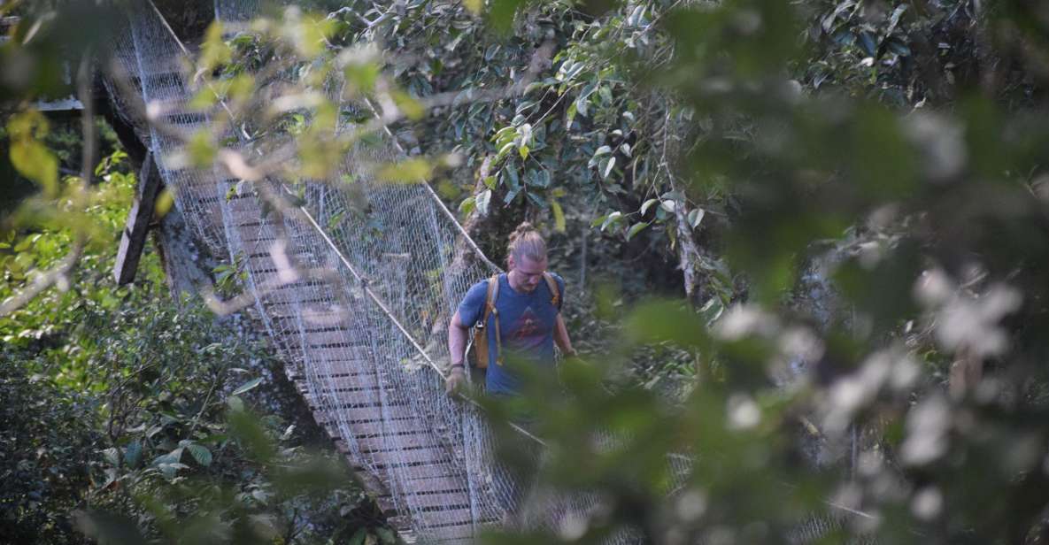 Canopy Walk and Monkey Island - Detailed Itinerary