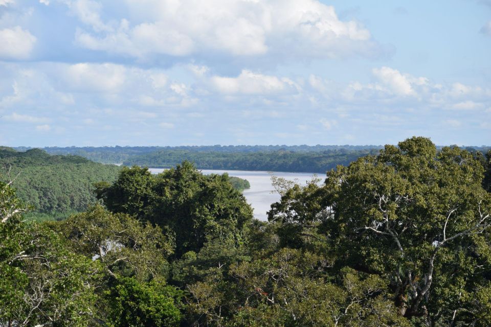 Canopy Walk and Monkey Island - Essential Information