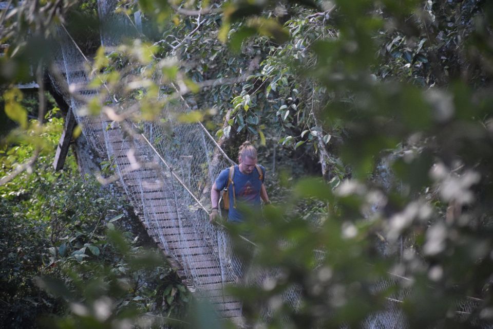 Canopy Walk and Monkey Island - Tips for Participants