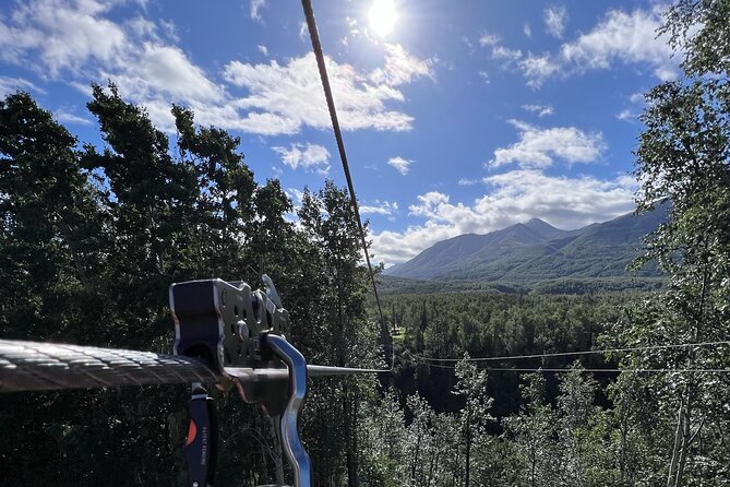 Canopy Zipline Tour in Mat Su Valley Just Outside of Anchorage - Stunning Views and Terrain