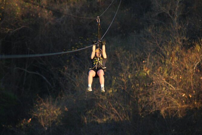 Canopy Zipline Tour in Punta Mita - Is it Worth the Price?