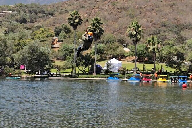 Canopy Ziplines Tour in Las Cañadas Private Tour - Discover the Canopy Ziplines Tour in Las Cañadas: A Thrilling Outdoor Adventure