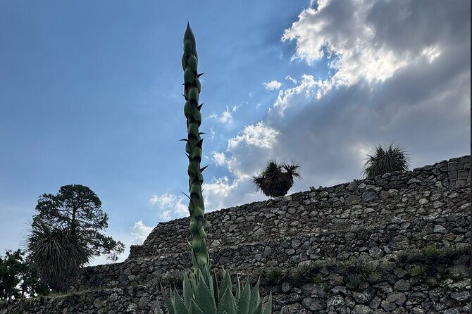 Cantona Archaeological Area Tour from Mexico City - Final Thoughts