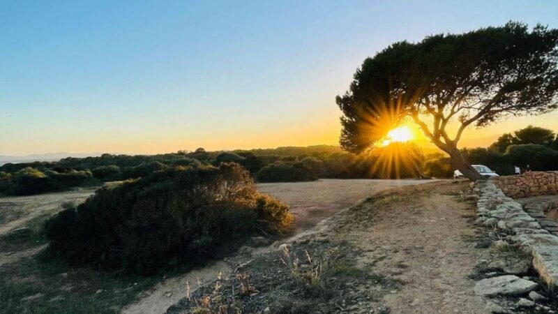 Canyamel: Couple Adventure, Fun Game,Quiz and Walk in Nature - Key Points