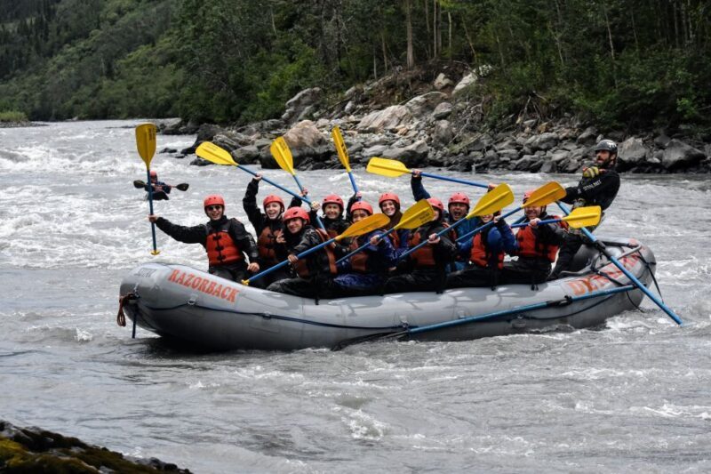 Canyon Run: Denali National Park Class IV Whitewater Rafting - Key Points