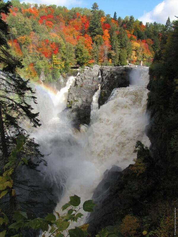 Canyon Sainte Anne: Air Canyon Ride with Park Entry - Authentic Feedback from Visitors