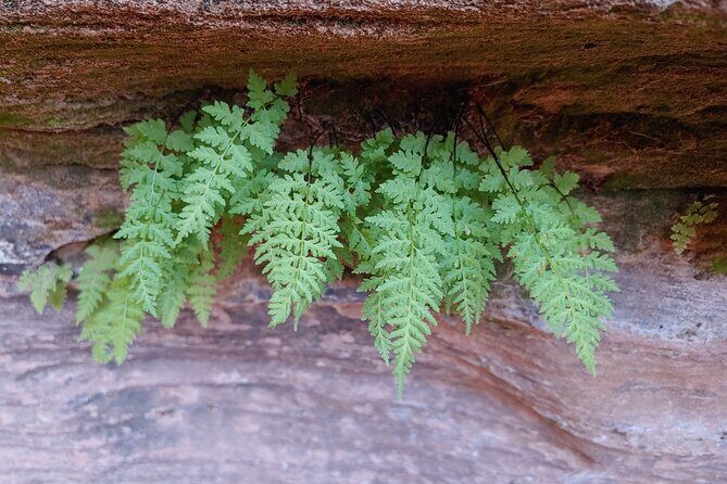 Canyoneering Kanab Area, Private - Who Should Consider This Tour?