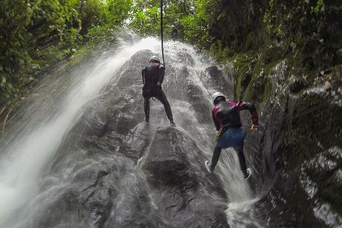 Canyoning Discovery in Dominica - What Makes This Canyoning Tour Stand Out?