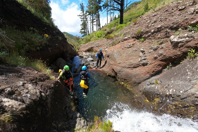 Canyoning in Madeira Island- Level 1 - Customer Reviews and Feedback